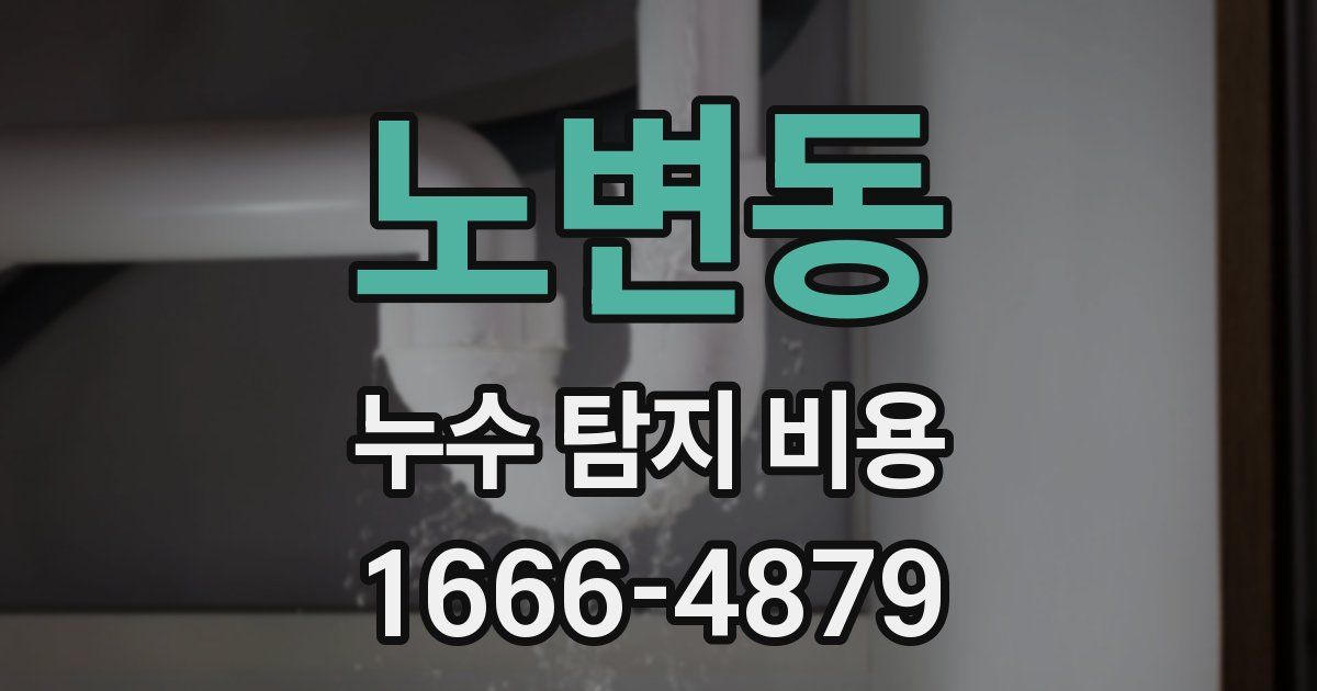 노변동 누수 탐지 비용