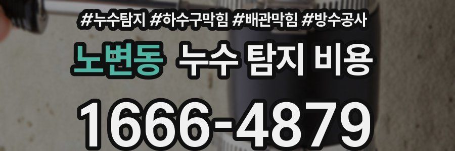 노변동 누수 탐지 비용