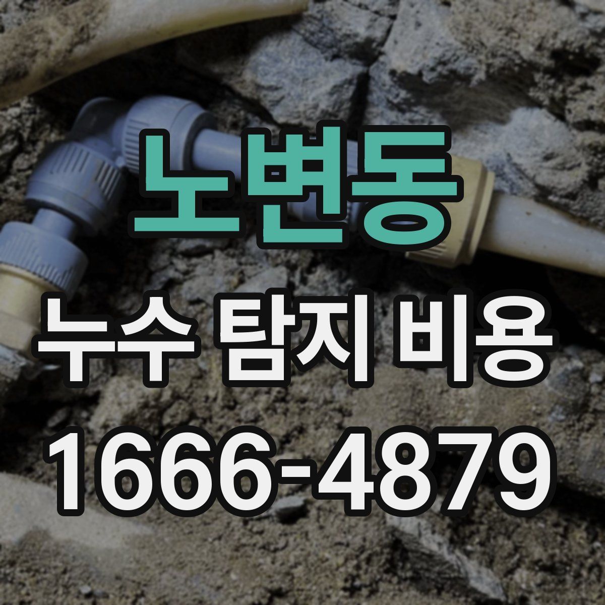 노변동 누수 탐지 비용