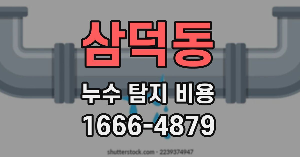 삼덕동 누수 탐지 비용