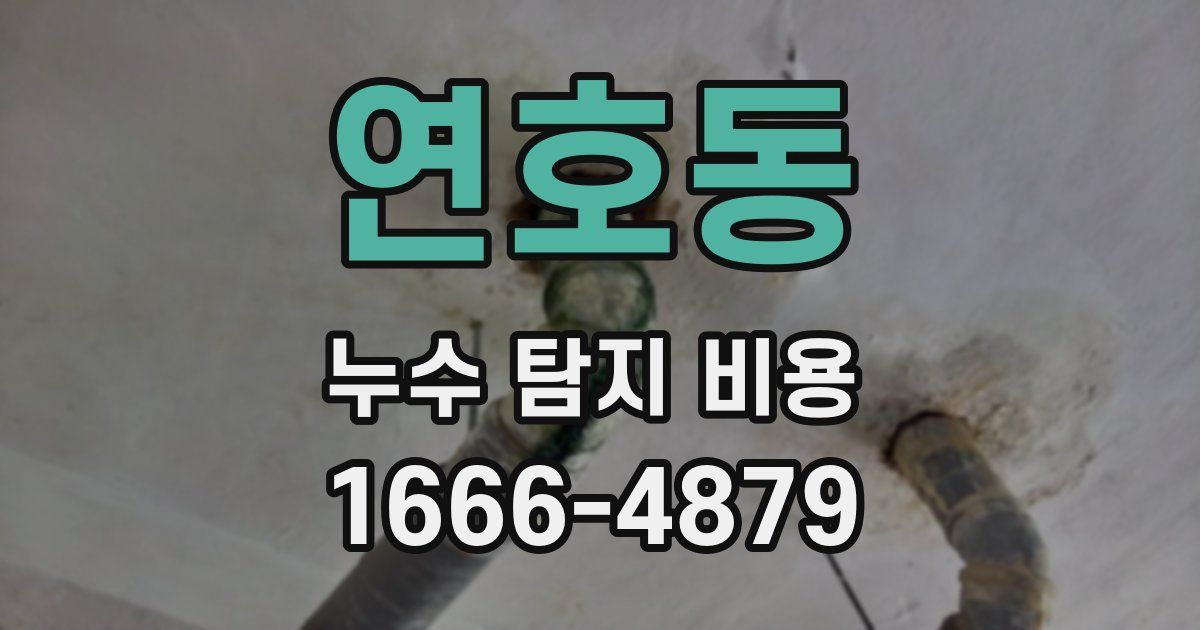 연호동 누수 탐지 비용