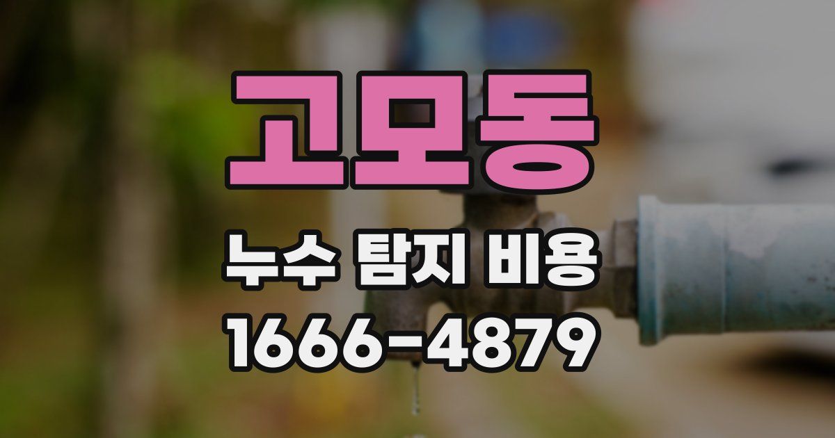고모동 누수 탐지 비용