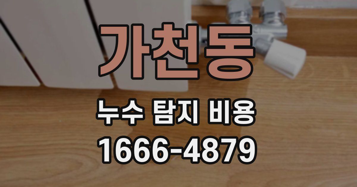 가천동 누수 탐지 비용