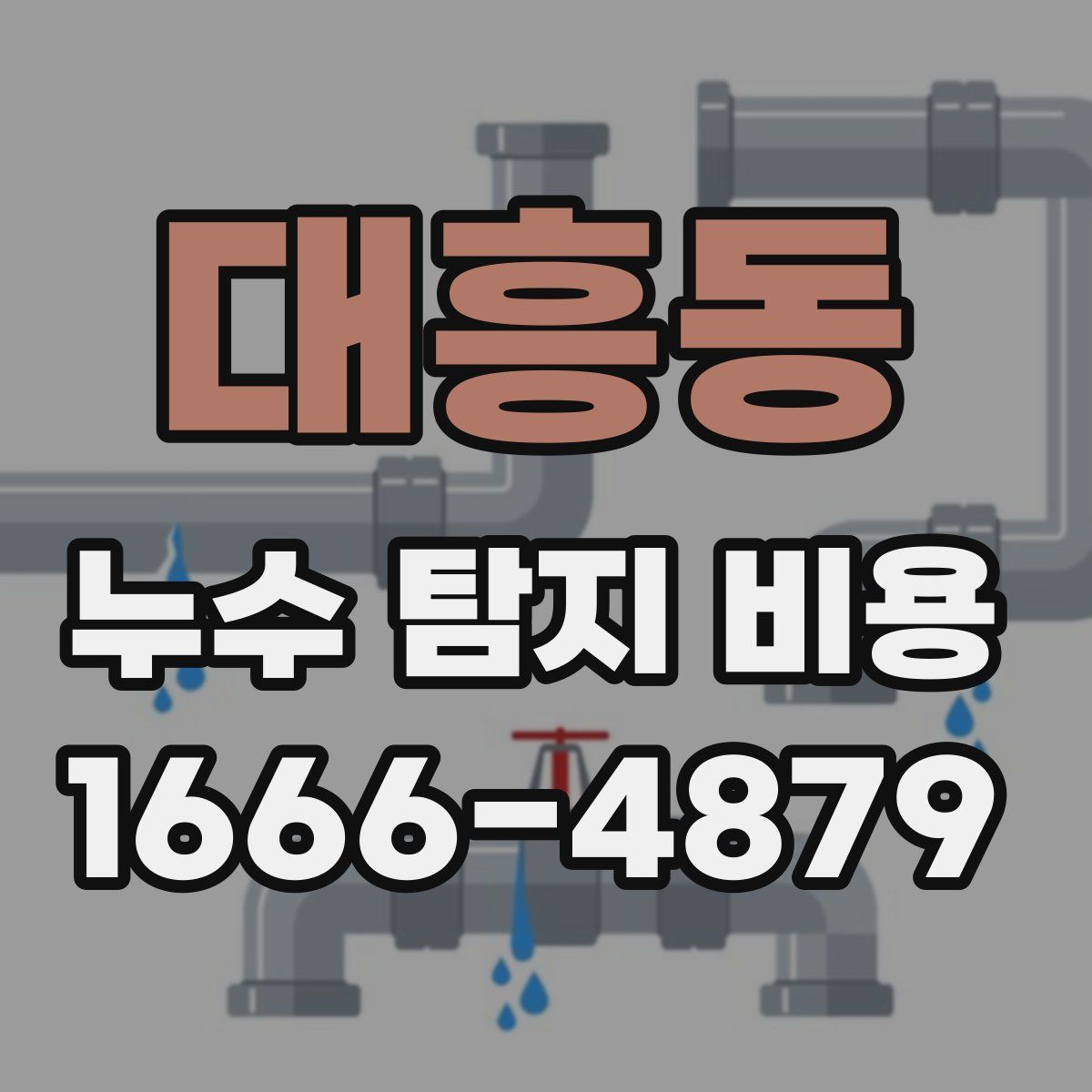 대흥동 누수 탐지 비용