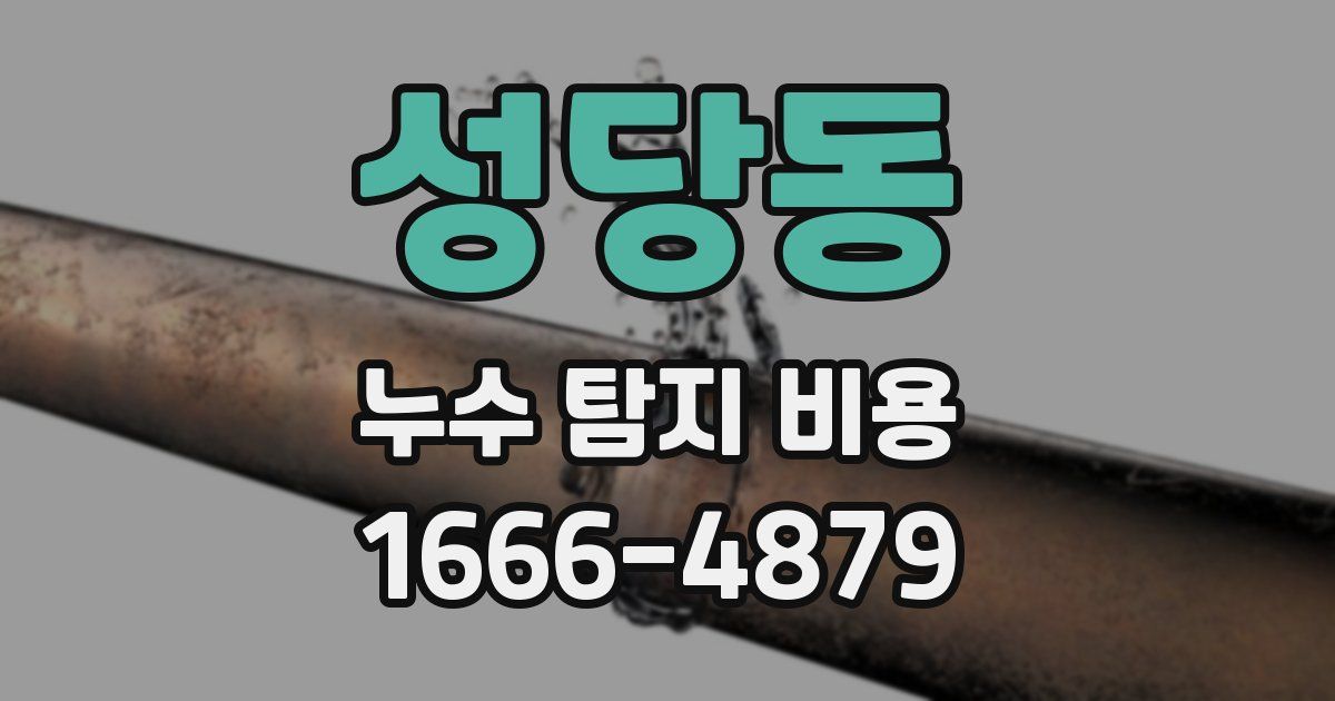 성당동 누수 탐지 비용