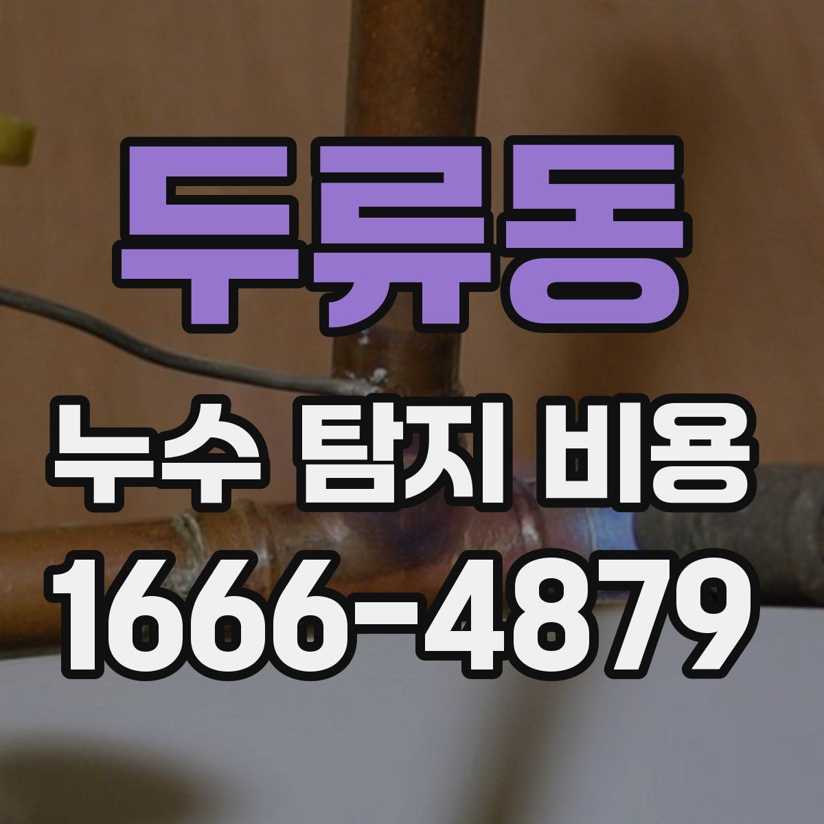 두류동 누수 탐지 비용