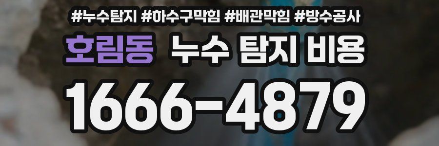 호림동 누수 탐지 비용