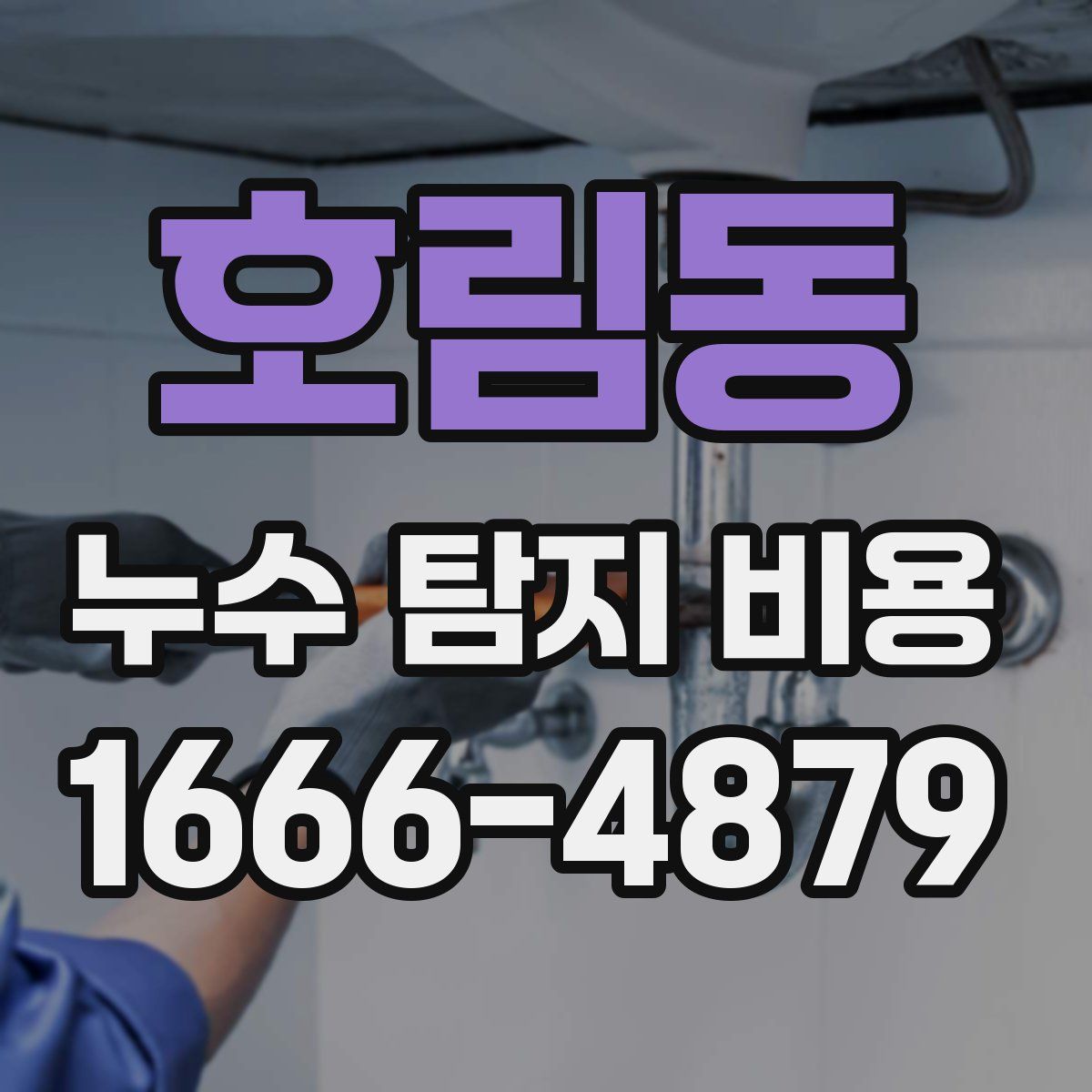 호림동 누수 탐지 비용