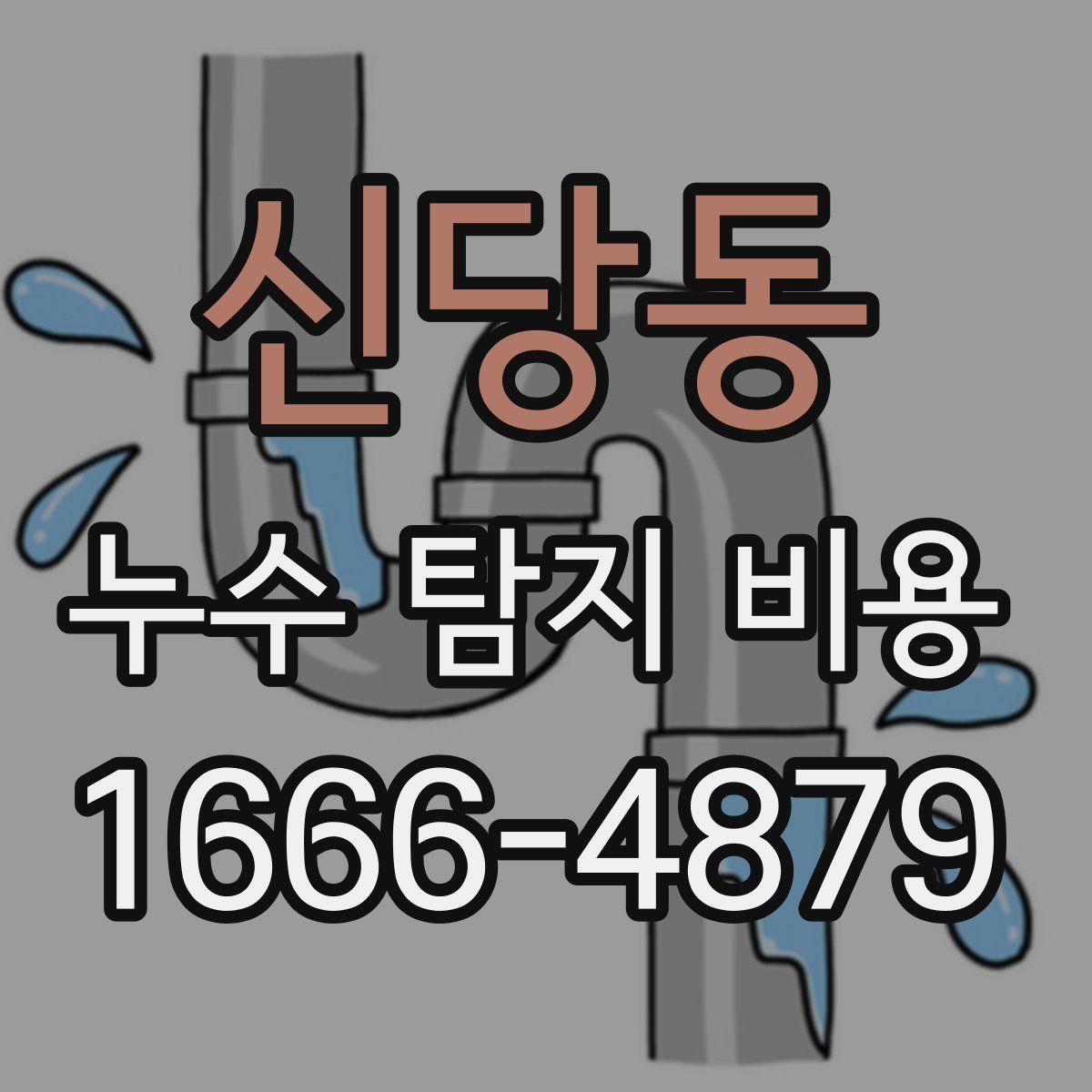 신당동 누수 탐지 비용