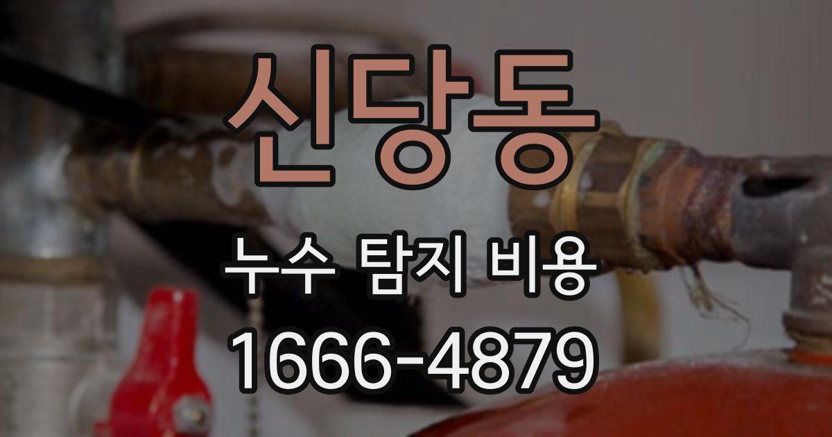 신당동 누수 탐지 비용