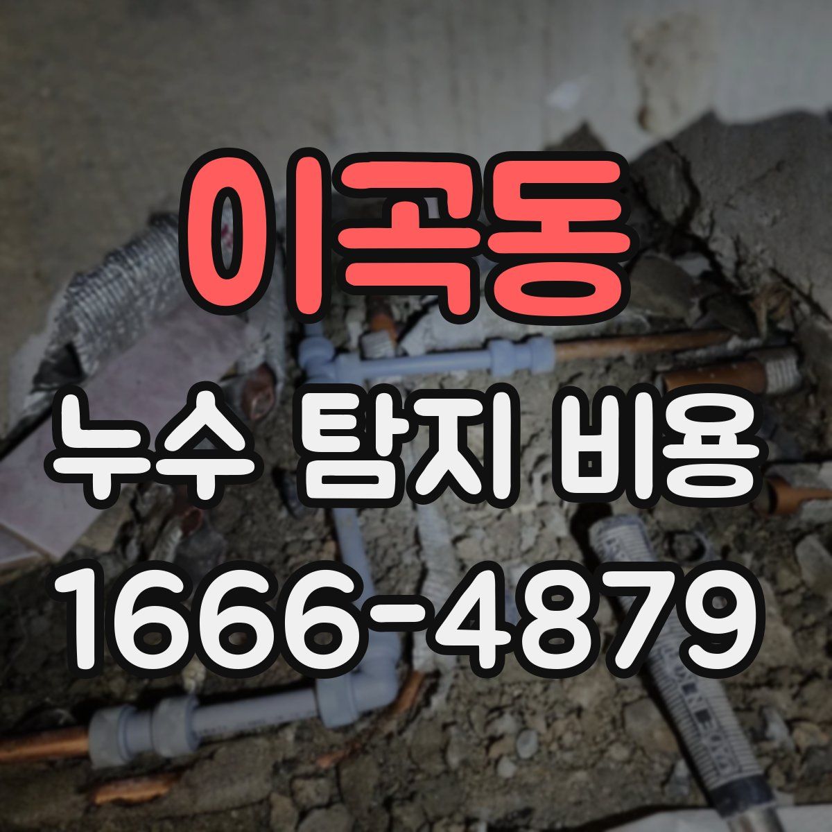 이곡동 누수 탐지 비용
