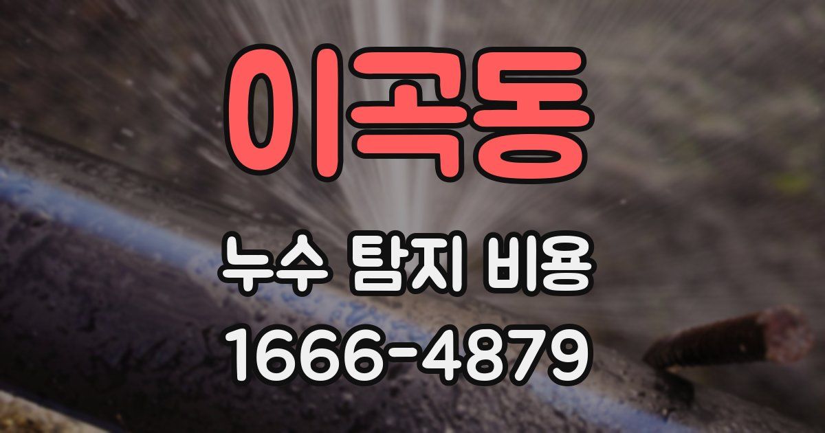이곡동 누수 탐지 비용