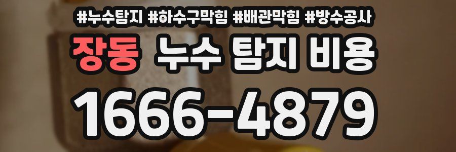 장동 누수 탐지 비용