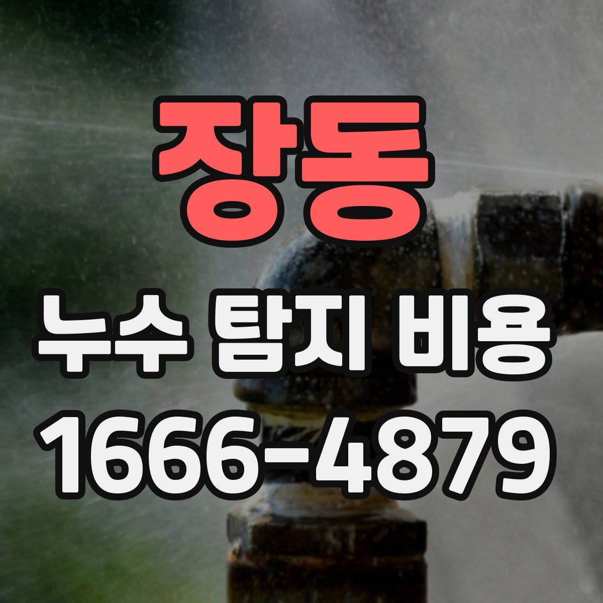 장동 누수 탐지 비용
