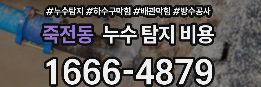 죽전동 누수 탐지 비용