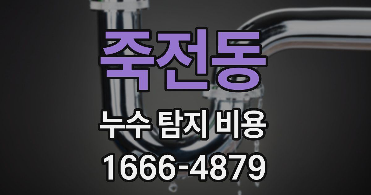 죽전동 누수 탐지 비용