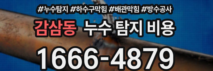 감삼동 누수 탐지 비용