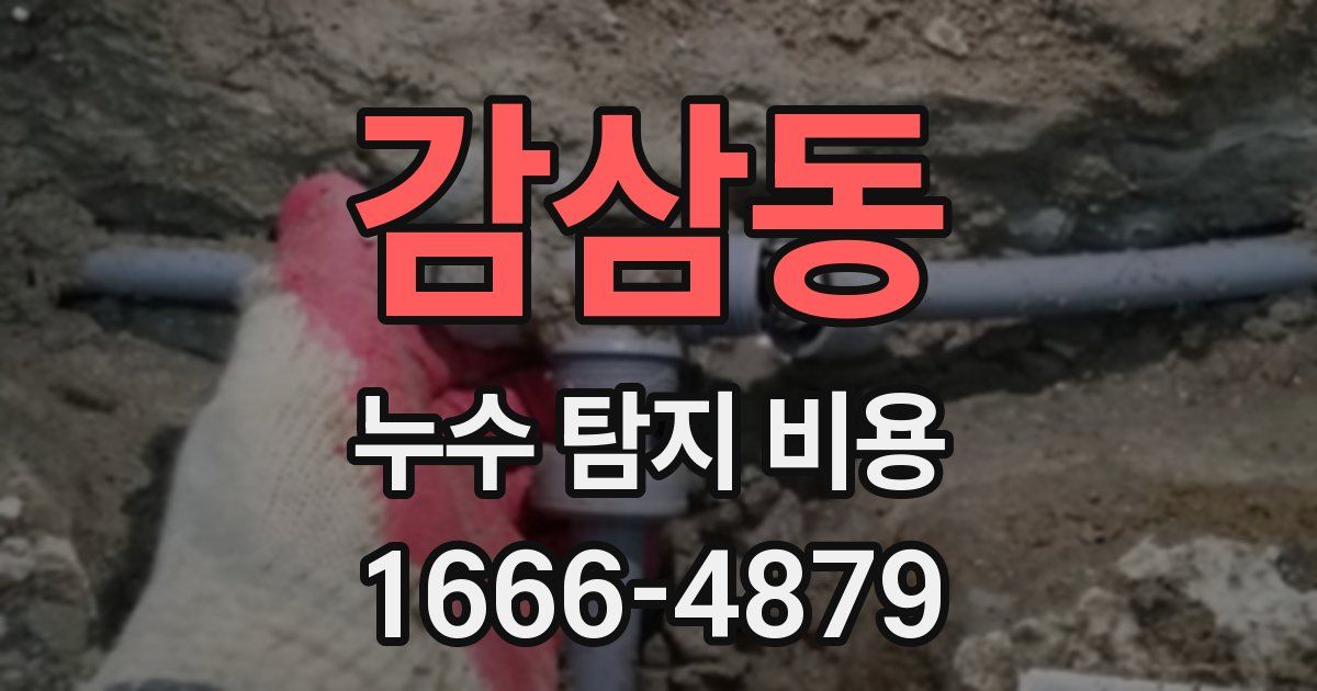 감삼동 누수 탐지 비용