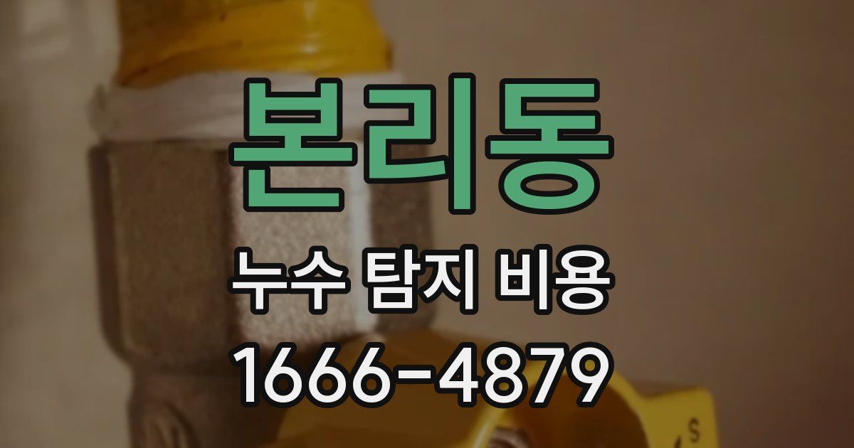 본리동 누수 탐지 비용