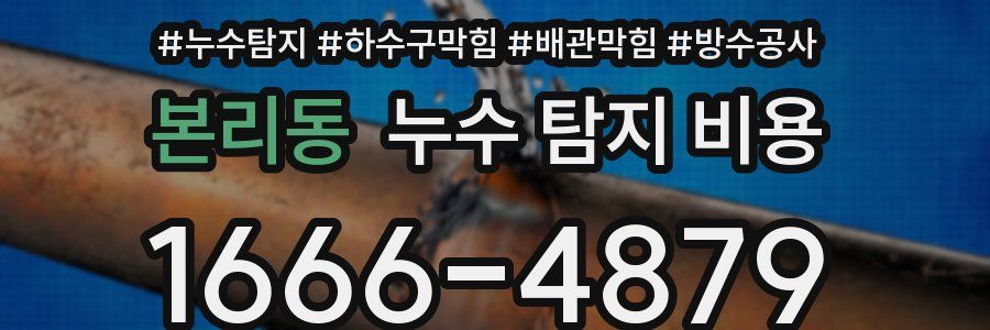 본리동 누수 탐지 비용