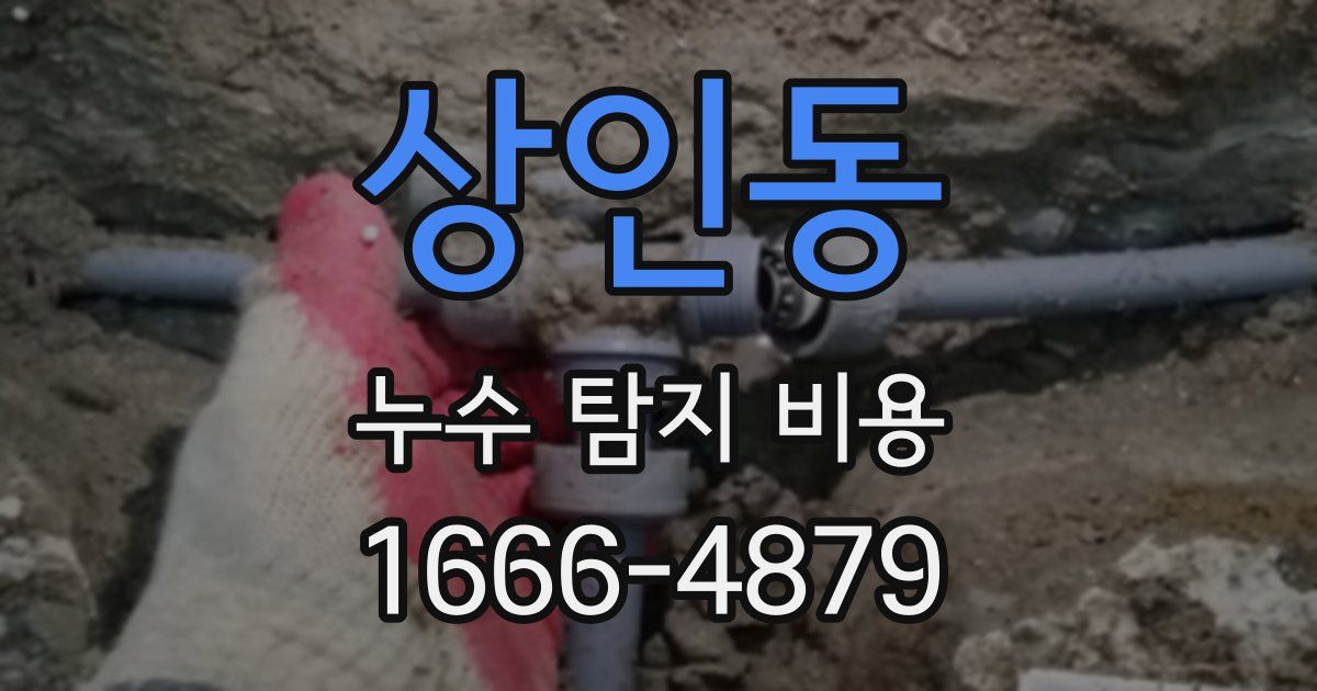 상인동 누수 탐지 비용