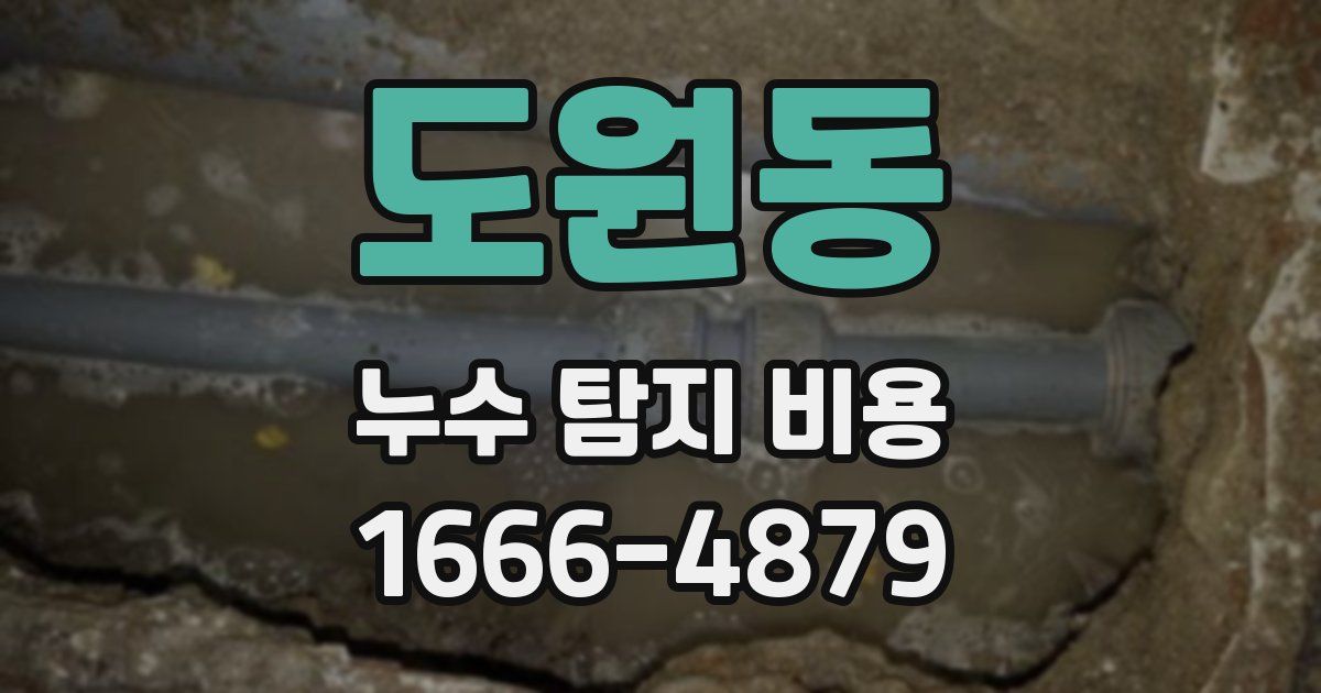 도원동 누수 탐지 비용