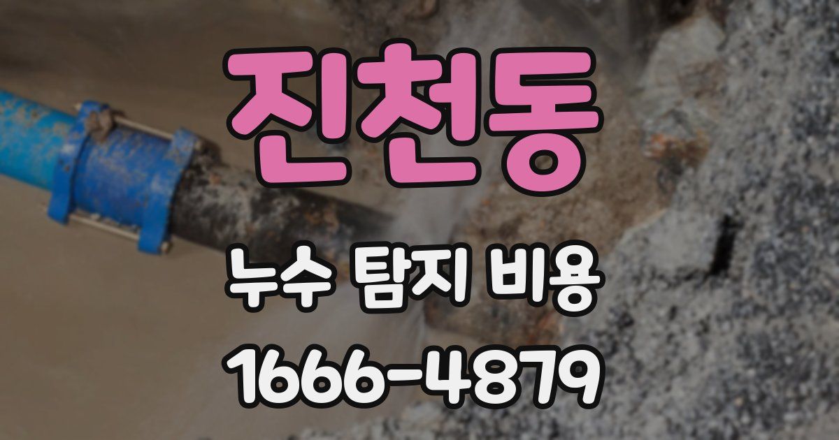 진천동 누수 탐지 비용