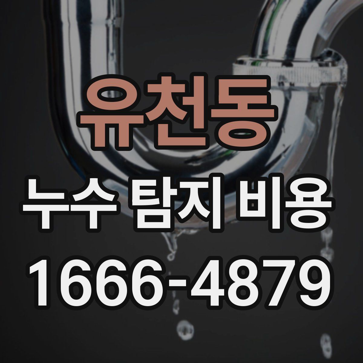 유천동 누수 탐지 비용