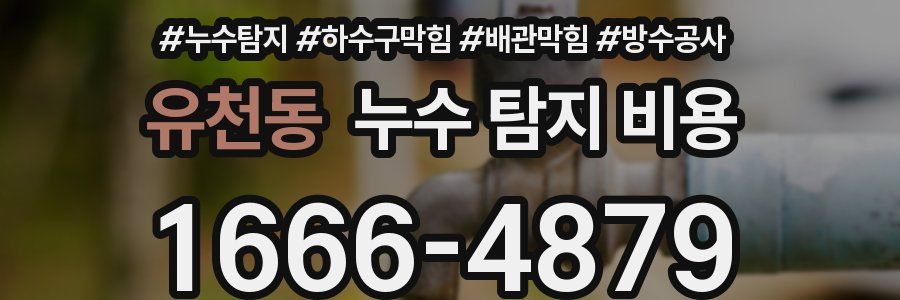 유천동 누수 탐지 비용