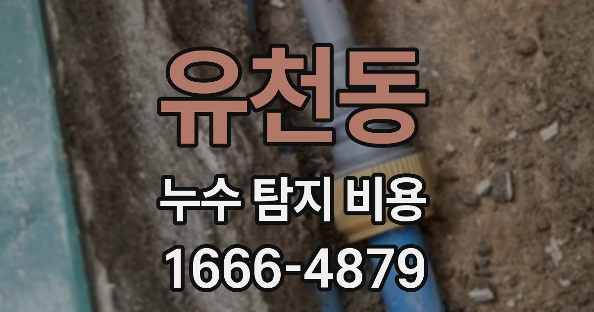 유천동 누수 탐지 비용