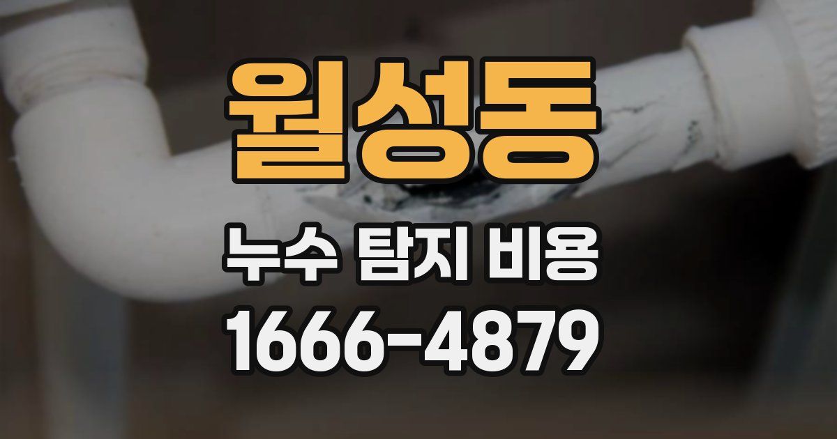 월성동 누수 탐지 비용