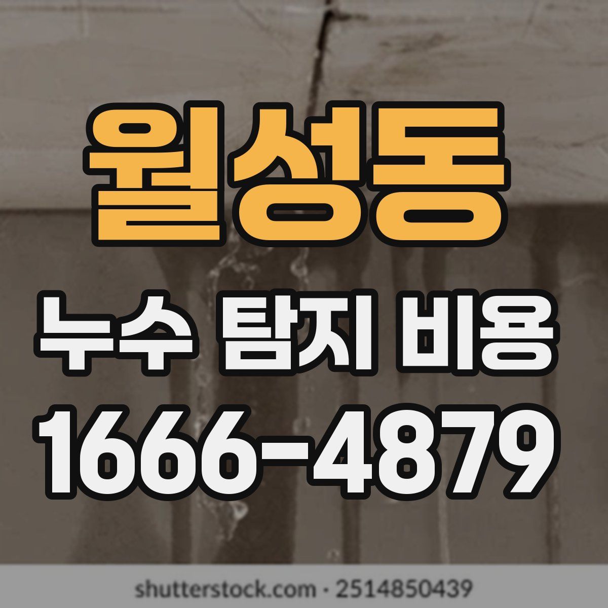 월성동 누수 탐지 비용