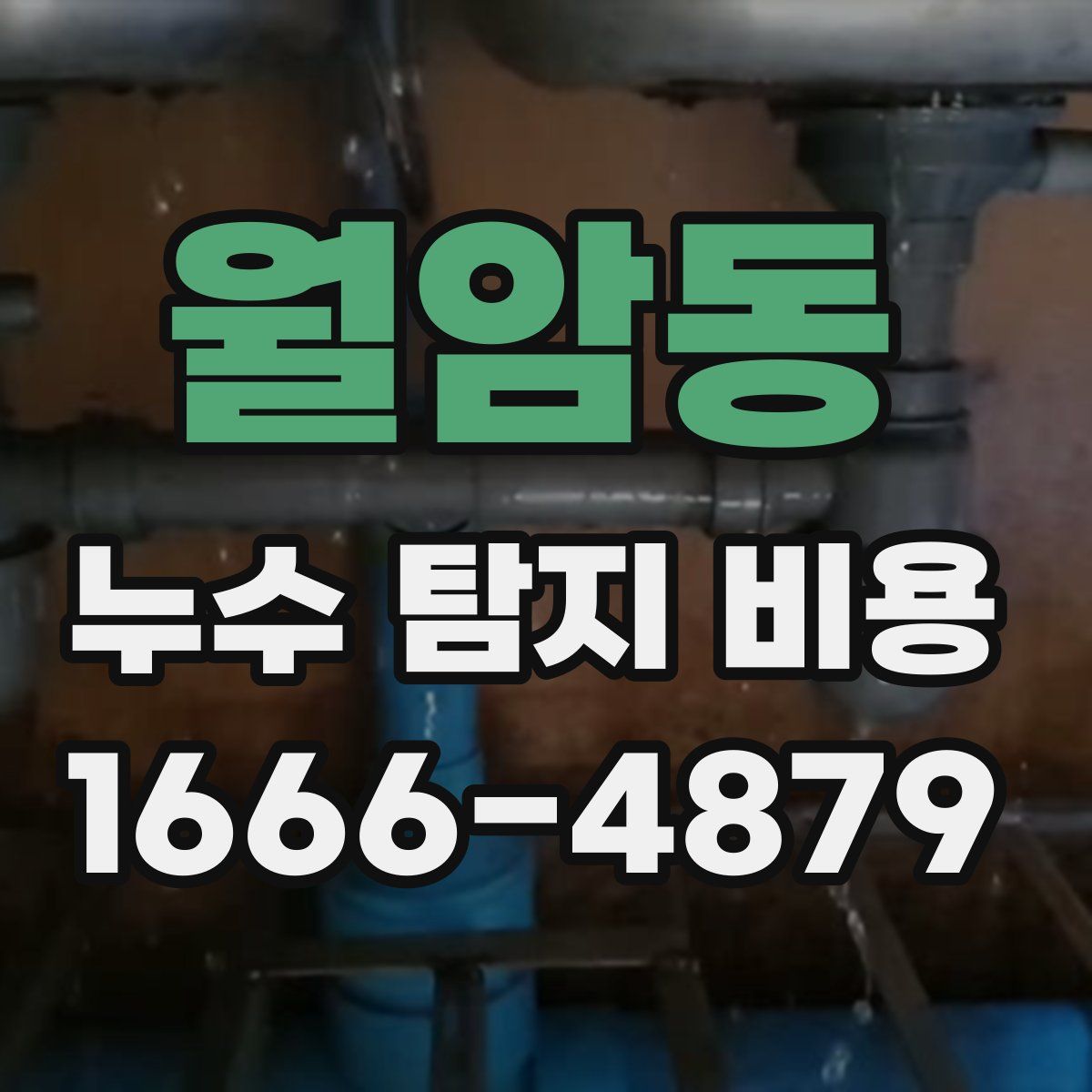 월암동 누수 탐지 비용