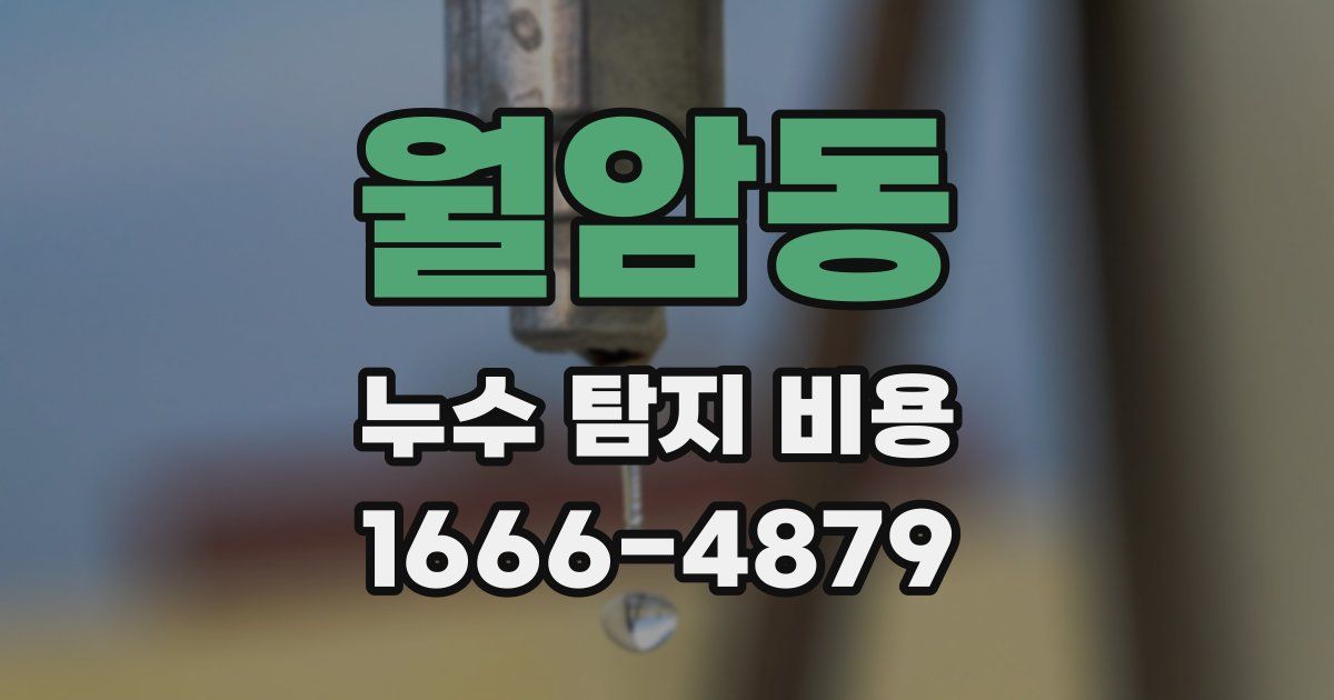 월암동 누수 탐지 비용