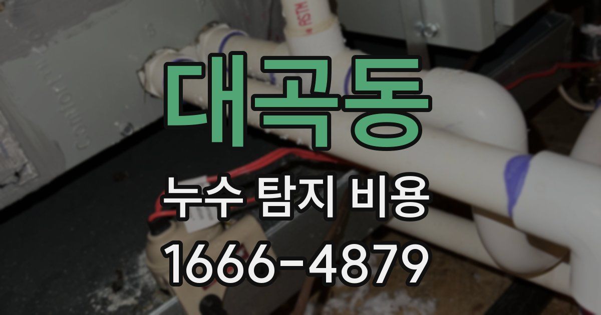 대곡동 누수 탐지 비용