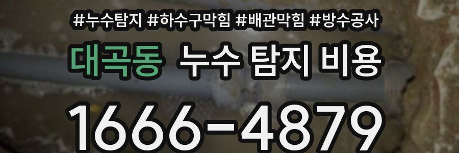 대곡동 누수 탐지 비용