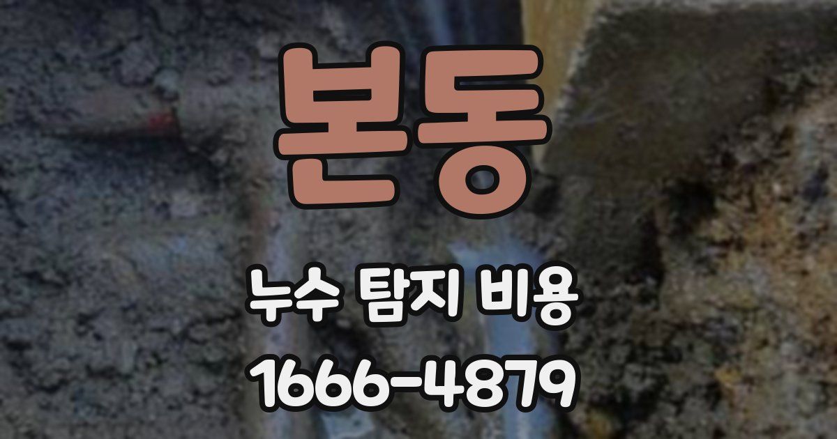본동 누수 탐지 비용