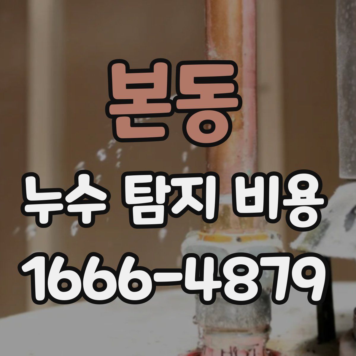 본동 누수 탐지 비용