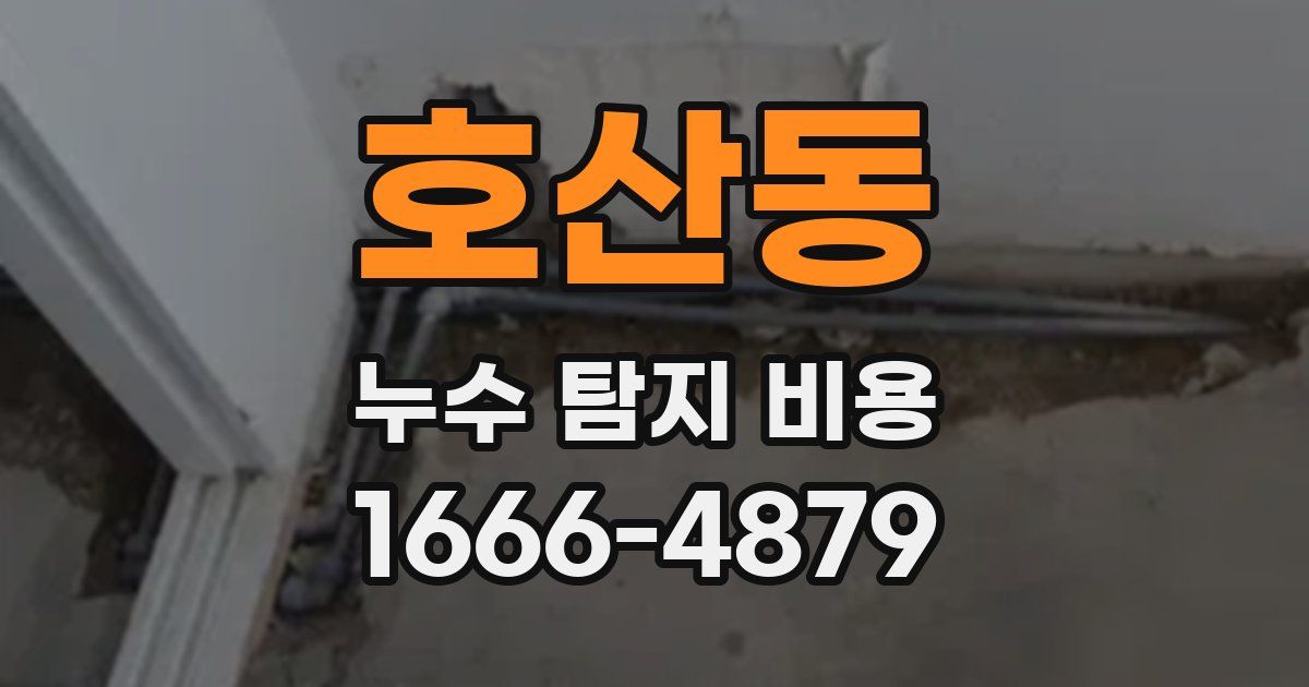 호산동 누수 탐지 비용
