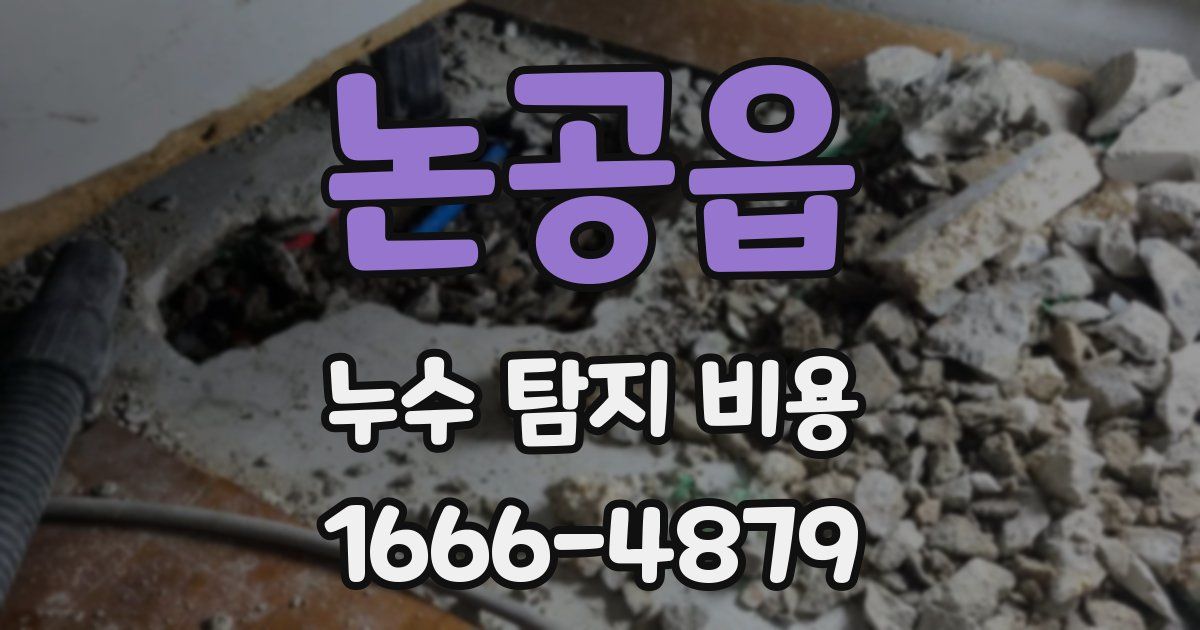 논공읍 누수 탐지 비용