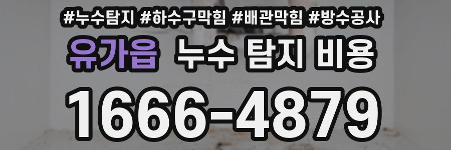 유가읍 누수 탐지 비용