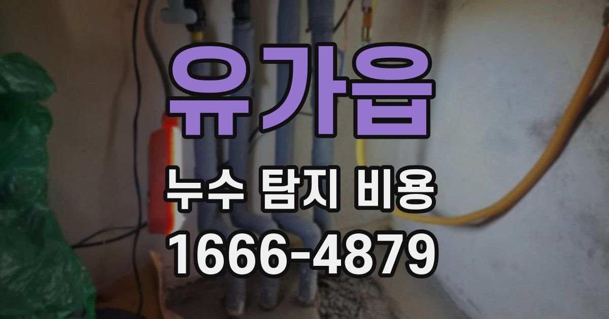 유가읍 누수 탐지 비용