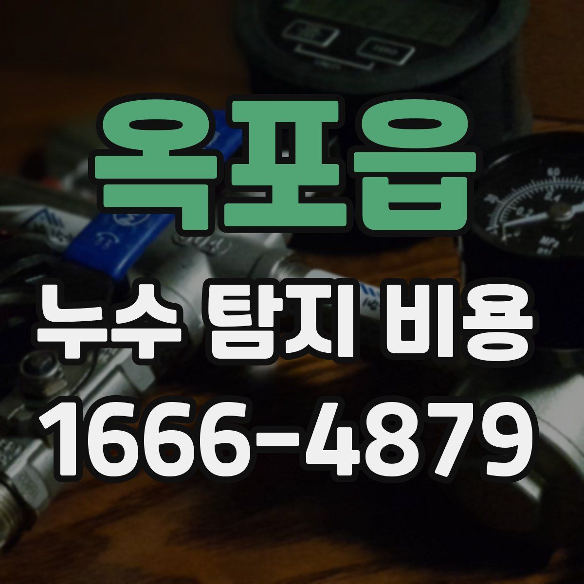 옥포읍 누수 탐지 비용