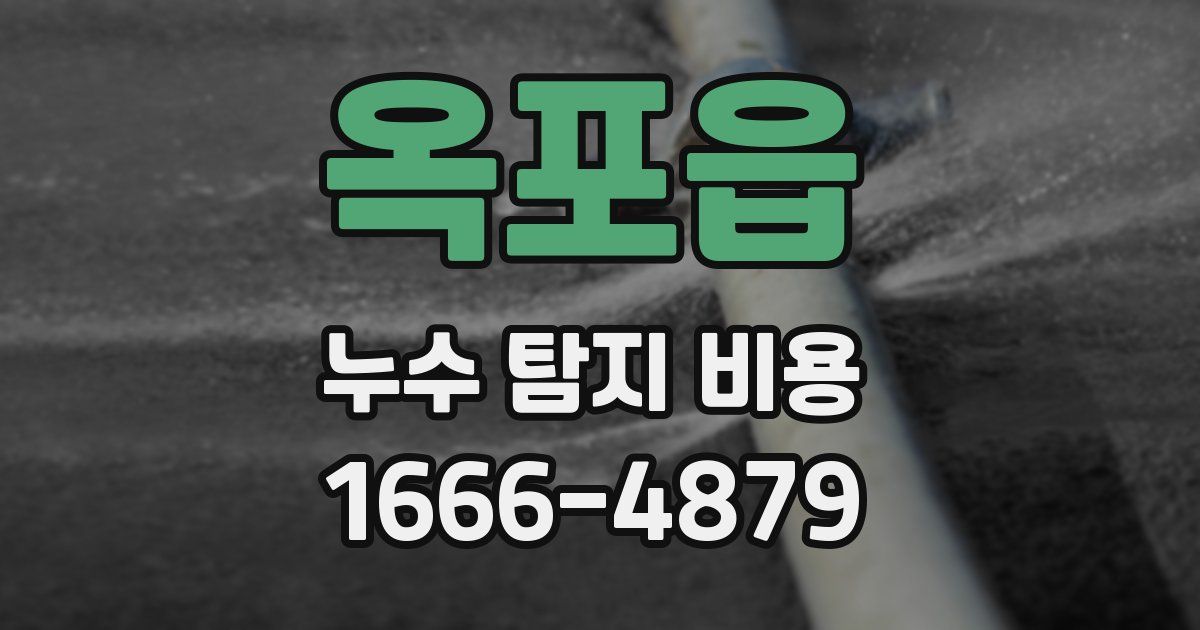 옥포읍 누수 탐지 비용