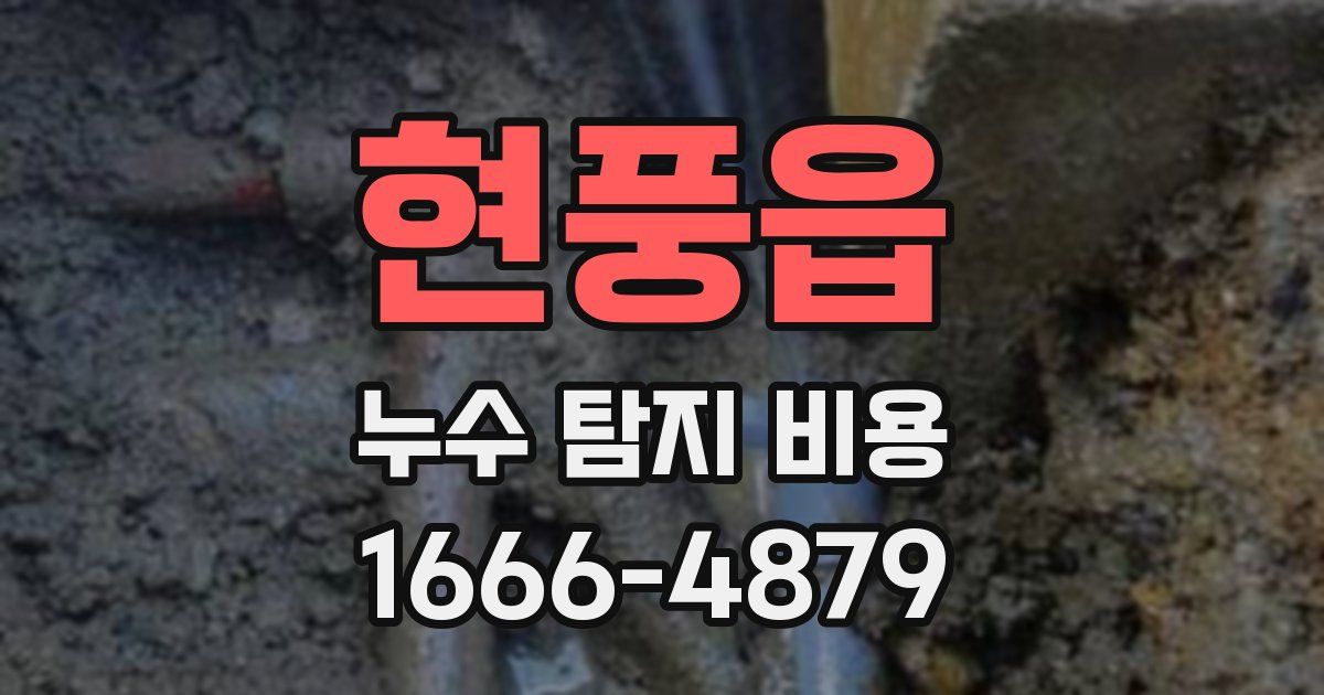 현풍읍 누수 탐지 비용