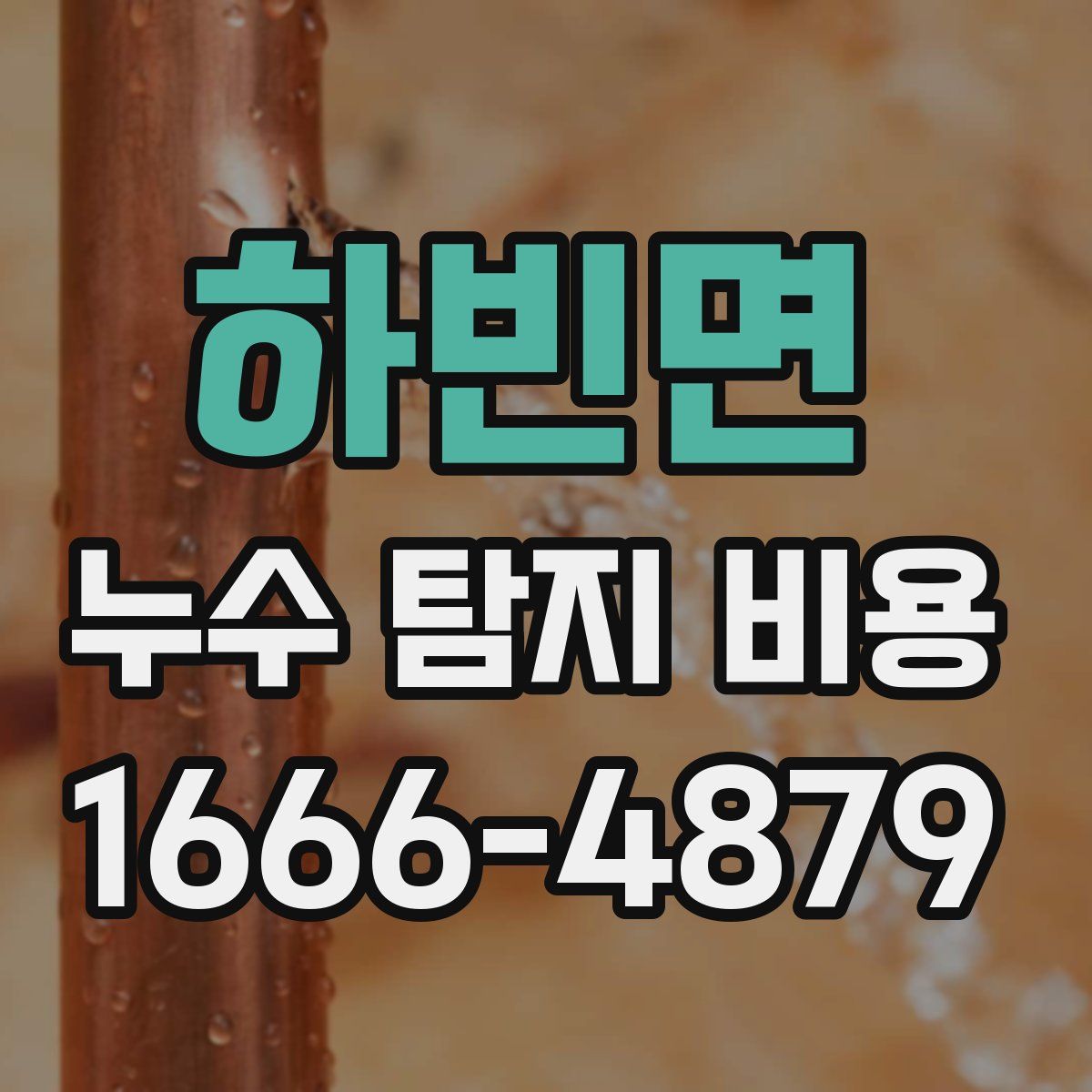 하빈면 누수 탐지 비용