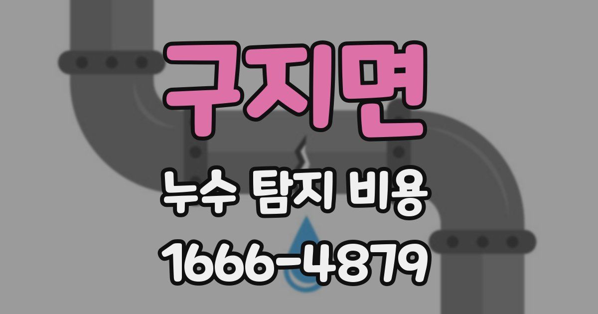구지면 누수 탐지 비용