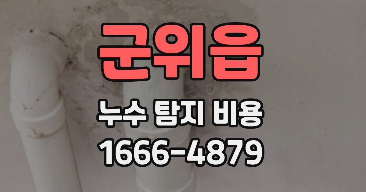 군위읍 누수 탐지 비용
