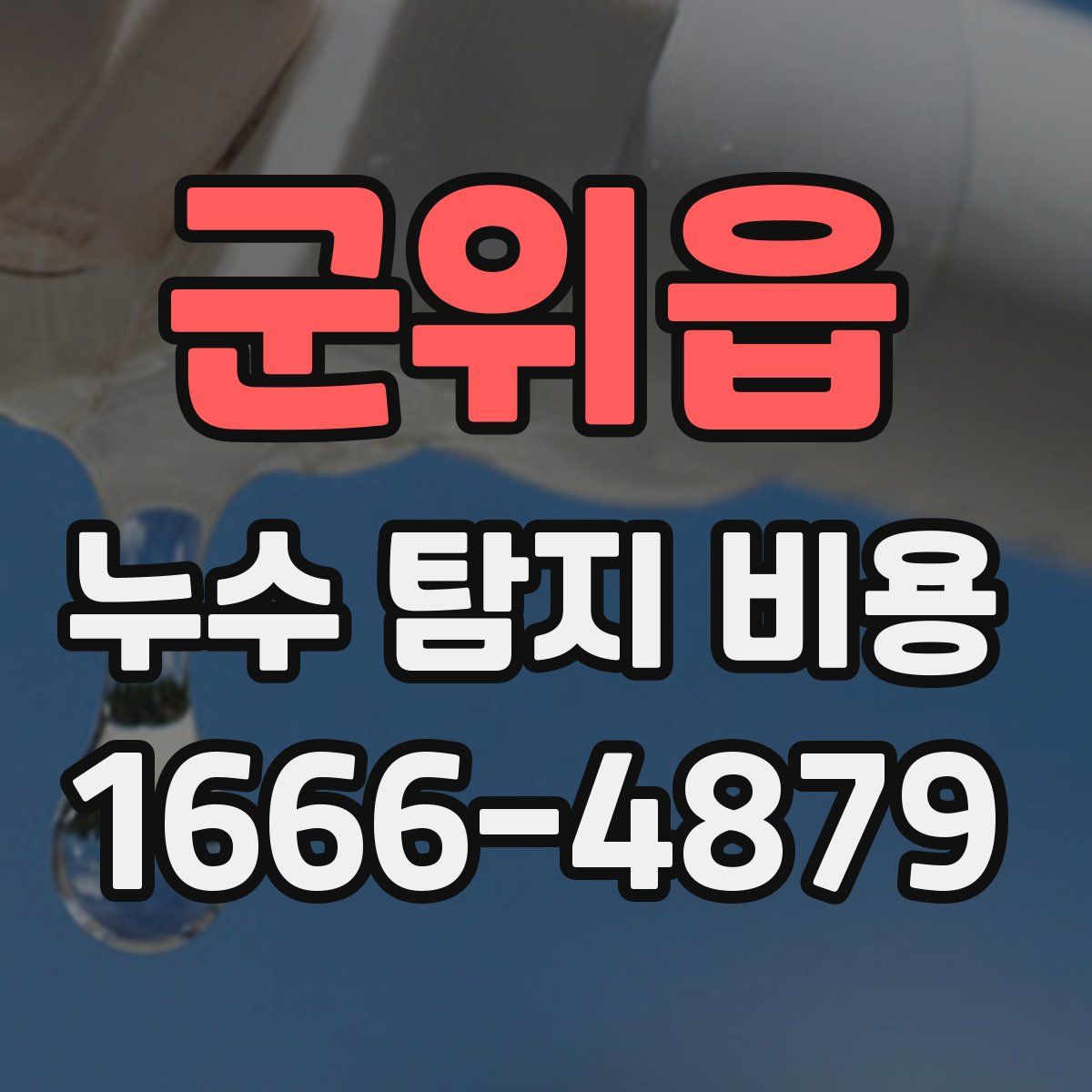 군위읍 누수 탐지 비용