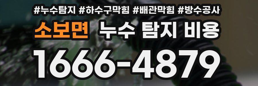 소보면 누수 탐지 비용